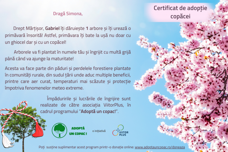 2.0 Certificat de adopție - Primavara - Simona