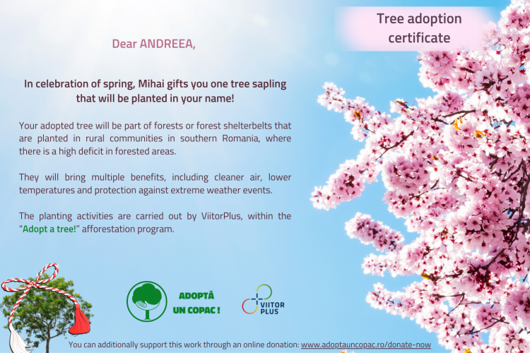 Tree Adoption Certificate - Spring Edition