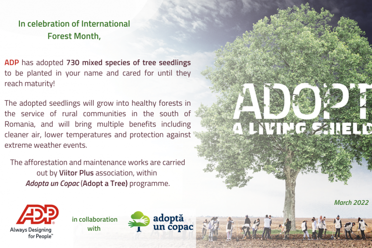 ADP-and-AuC-Adoption-certificate-730-trees.-ENG