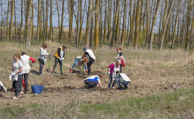 Actiune de plantare - Chirnogi 14 aprilie 2022 - Adopta un Copac (66 of 141)