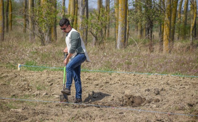 Actiune de plantare - Chirnogi 14 aprilie 2022 - Adopta un Copac (69 of 141)