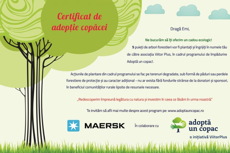 Certificat-adoptie-Emi