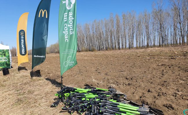 Eveniment de plantare 6 aprilie 2022 - McDonald's si Adopta un Copac (3)