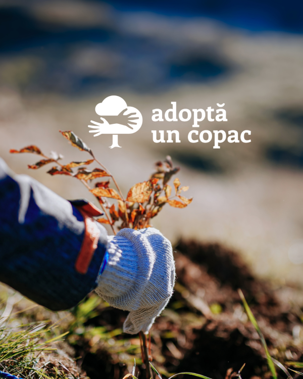 Donează acum!