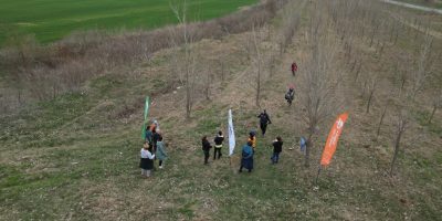 DJI_0042
