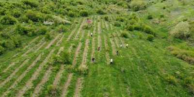 DJI_0121