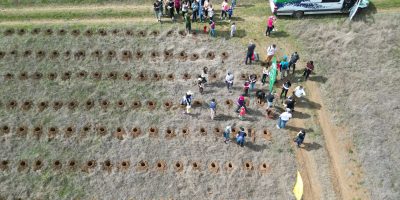 DJI_0144