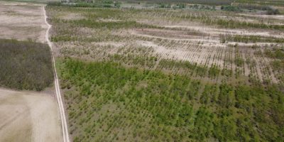 DJI_0297