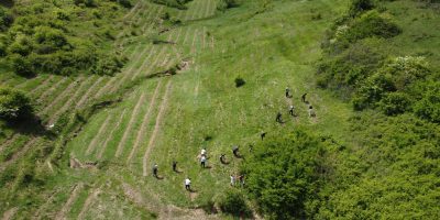 DJI_0374