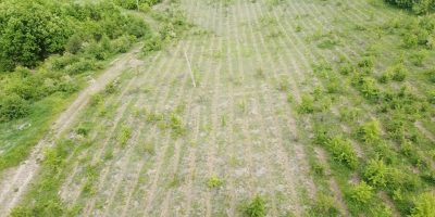 DJI_0676