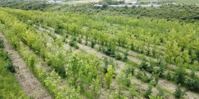 DJI_0860