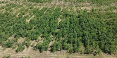 dji_fly_20240705_105837_0_1720166317320_photo_low_quality
