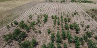 dji_fly_20240722_145329_0_1721649209692_photo_low_quality